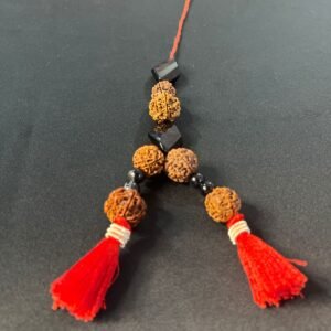 VASTU CHAKRA FOR VASTU DOSH AND REMOVE NEGATIVITY