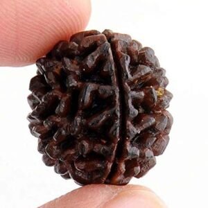 ONE MUKHI RUDRAKSH